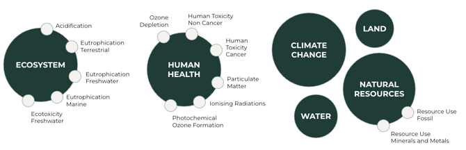 Capture d’écran 2025-06-04 à 18.31.50